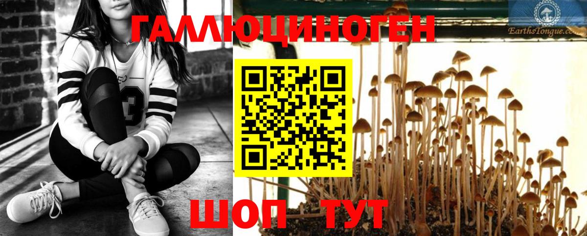 Азнакаево  как найти закладки  Вход с VPN  Галлюциногенные грибы MAGIC MUSHROOMS 